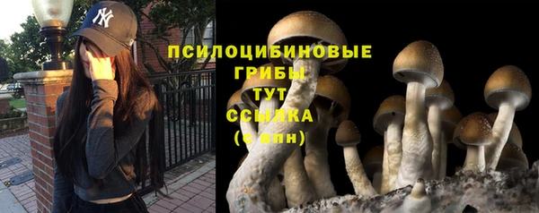 spice Богородицк
